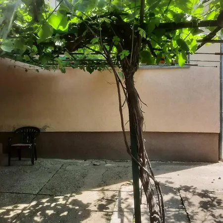 Apartment Vesna Vrdnik