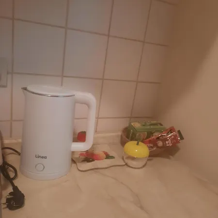 Vesna Apartment Vrdnik