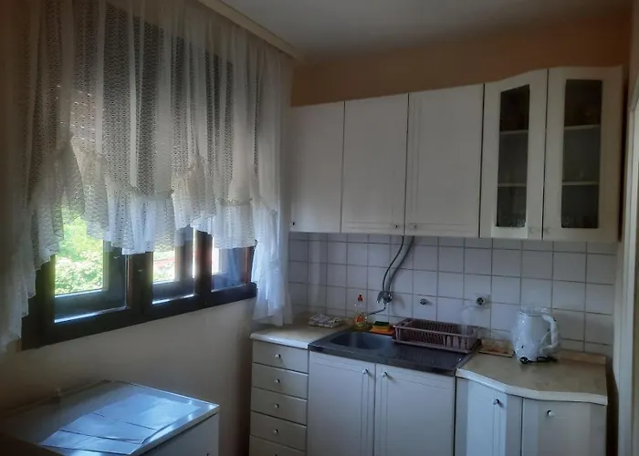Vesna Apartment Vrdnik